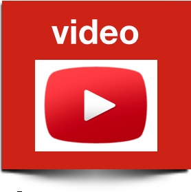 dutch video course