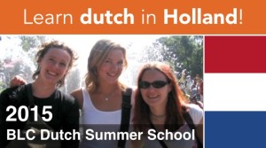 dutch summer school